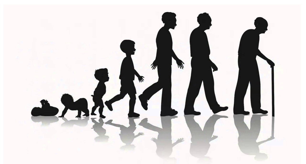 Online Nadi Astrology in Telangana