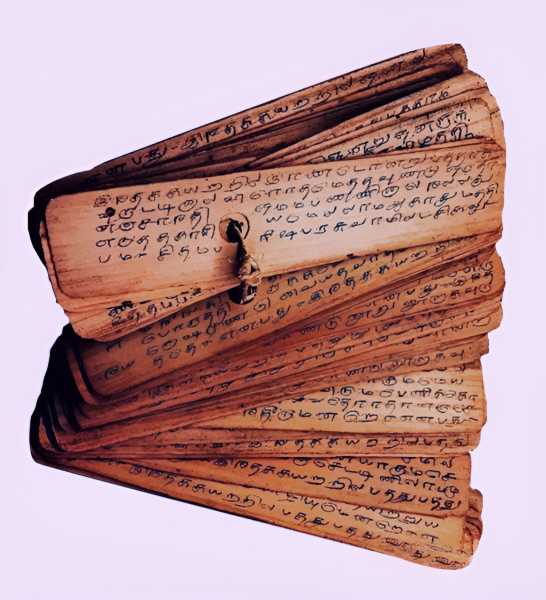 Nadi astrology